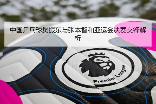中国乒乓球樊振东与张本智和亚运会决赛交锋解析